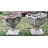 A pair of reclaimed garden urns with cabbage leaf bowls and square cut platform bases, 45cm diameter