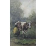 P Franken (late 19th century continental school) study of a cow being milked in a landscape setting,