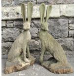 A pair of weathered carved forest art garden ornaments in the form of seated hares, 75cm high