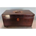 A Regency exotic wood caddy inlaid with satinwood, the hinged lid enclosing two further wooden