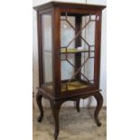 An Edwardian mahogany display cabinet of elegant proportions, the door with astragal glazed