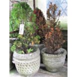 A pair of reclaimed garden planters of circular and tapered form with lattice and Celtic knot