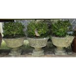 A set of three small reclaimed garden urns, the squat circular tapered bowls with repeating leaf