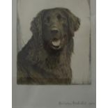 Malcolm Nicholson (British 20th century school) - Head of a black flat coat retriever, monochrome