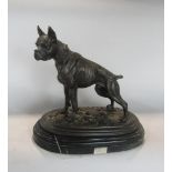 After Mene-study of a standing boxer dog, cast bronze upon an oval stepped black marble base, 28