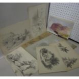 Clara Phelps (19th century British school) - A collection of drawings of landscapes, trees, etc,