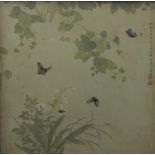 19th century school, a study of butterflies and foliage, watercolour? on paper with inscription to