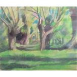 20th century school - Study of a woodland scene, pastel on paper, no visible signature, inscribed