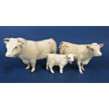 A family of three Beswick Charolais cattle comprising bull, cow and calf (3)