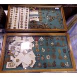 Two baise lined hinged collectors cabinets fitted with a large collection of military badges,