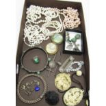 Mixed collection of costume jewellery to include two painted landscape brooches by Thomas L Mott,