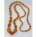 Graduated amber coloured bead necklace, largest bead 2.2cm L approx, 39.7g