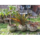 A set of three reclaimed Arts & Crafts style cauldron shaped planters with relief detail and