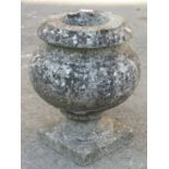 A small weathered marble pot bellied urn with square cut base, the flared rim 20 cm in diameter