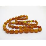 Graduated amber coloured bead necklace, largest bead 2cm L approx, 49.2g