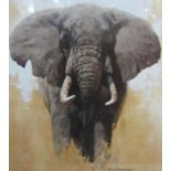 David Shepherd (20th/21st century) - Signed coloured print of an elephant, signed to mount,