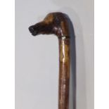 Primative walking stick with dog head type knop