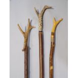 Three rustic walking sticks with antler handles (3)