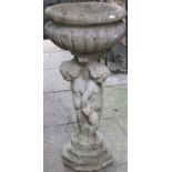 A reclaimed garden planter with circular lobed roll raised on a pedestal with standing cherub