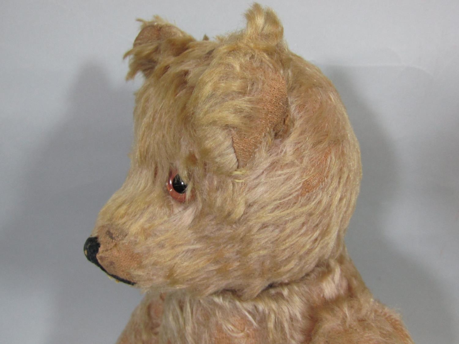 Mid 20th century Yes/ No Teddy bear probably made in Germany by Schcuco, with lever (formerly a - Image 5 of 9