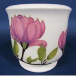 A Moorcroft ivory ground cachepot with pink magnolia detail and with painted and impressed marks