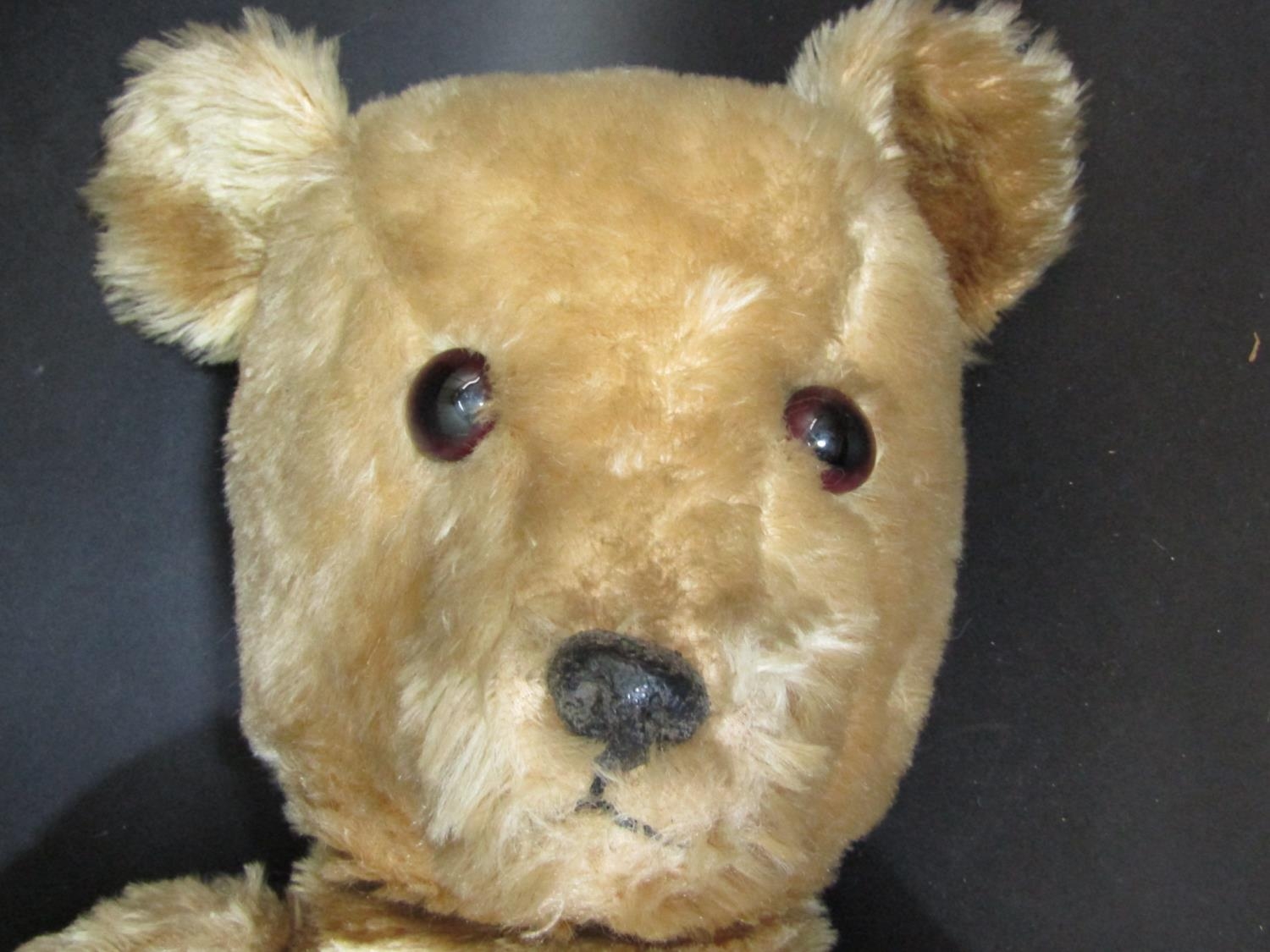 2 mid 20th century teddy bears including a large bear probably by Chiltern with jointed body, - Image 4 of 7