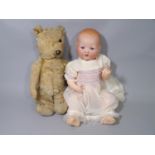 Chiltern type teddy bear with golden mohair, stitched nose and mouth and excelsior stuffing, in very