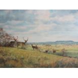 Peter Donnithorne (British, B. 1933) - Berkeley Stags - extensive landscape setting, signed and