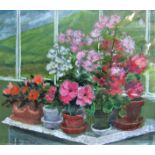 Attributed to William Henderson (British 1903-1993) - Still life with pots of geraniums in a