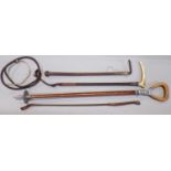 Two plaited leather riding crops with a further crop, a dressage whip and a shooting stick (5)