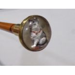 Bamboo shafted cane, brass knop fitted with Essex crystal type top decorated with a cat