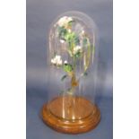 Venetian glass diorama comprising three birds amongst foliage under a glass dome, 28 cm high in