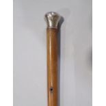 Malacca walking cane with silver knop
