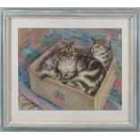 Seija Wentworth (20th century) study of two tabby cats resting in a tomato box, pastel on paper,
