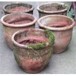 A set of five weathered terracotta planters of circular and tapered form with simple impressed sprig