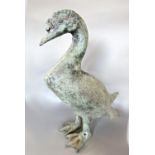 Patinated cast bronze study of a Muscovy duck, 35 cm high