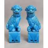 Pair of oriental turquoise glazed dogs of fo raised on four sided bases, 29.5cm tall approx (2)