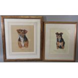 Davina Owen (Contemporary local artist) - Two half length studies of Terriers - Taggie and Abbie,