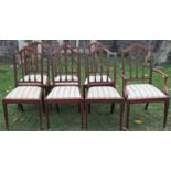 A set of seven (6&1) Edwardian dining chairs with slender inlaid splats over drop in upholstered