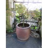 A salt glazed barrel shaped planter with simple rope twist border, 55cm high x 55cm diameter