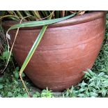 A good salt glazed oviform pot, 54cm high x 60cm diameter