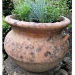 A weathered terracotta planter with simple lug handles, 45cm diameter