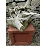 A dried and weathered root sculpture raised on a terracotta coloured plinth, 70cm high overall,