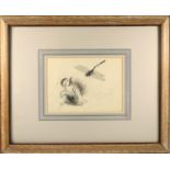 H Dimmock, Duckling & dragonfly, pen and ink, signed and dated, 30/7/90, in limed oak frame, 16 x