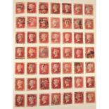 A large collection of stamps, contained in five albums and some loose examples, including a broad