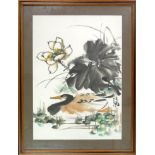 Chinese School, duck on water with flowers, signed, watercolour, 65.5 x 47cm.