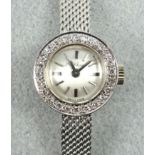 Chopard lady's diamond set watch in white gold with integral bracelet strap, dial signed L U Chopard