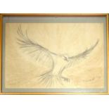 Jill Tweed (b. 1931) bird of prey in flight, mixed media, signed and dated 1968, 50.5 x 76 cm [