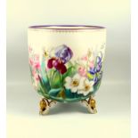 Continental porcelain jardinière, boldly painted with a variety of spring flowers, on unusual oval