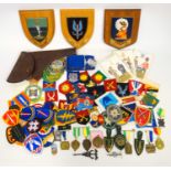 Quantity of Military cloth badges (50+), copy of an SAS belt, metal badges, SAS crest on elm plaque,